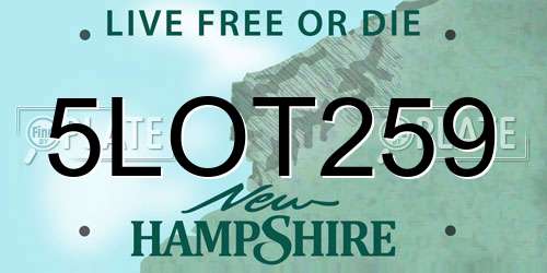 5LOT259 New Hampshire License Plate
