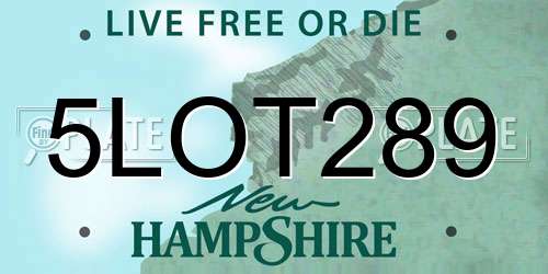 5LOT289 New Hampshire License Plate
