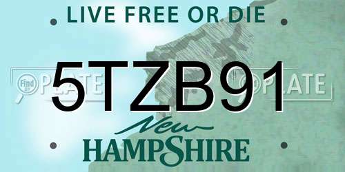 5TZB91 New Hampshire License Plate