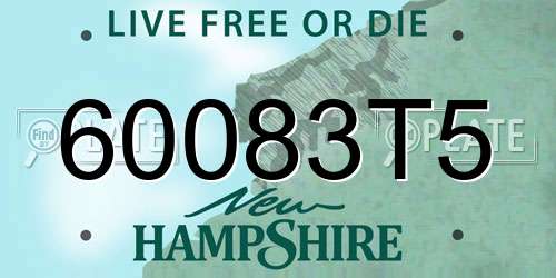 60083T5 New Hampshire License Plate