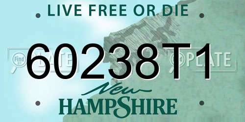 60238T1 New Hampshire License Plate