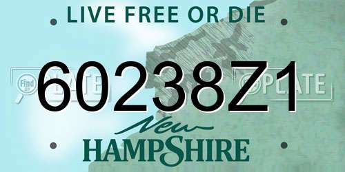 60238Z1 New Hampshire License Plate