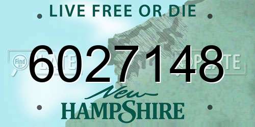 6027148 New Hampshire License Plate