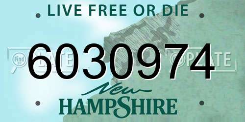 6030974 New Hampshire License Plate
