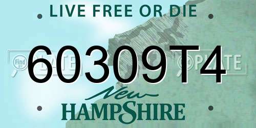 60309T4 New Hampshire License Plate