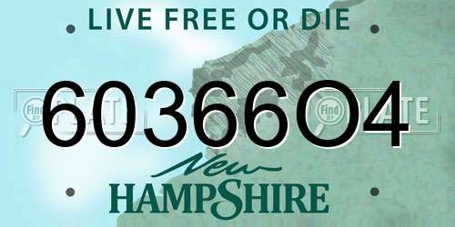 60366O4 New Hampshire License Plate