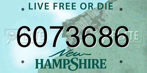 6073686 New Hampshire License Plate