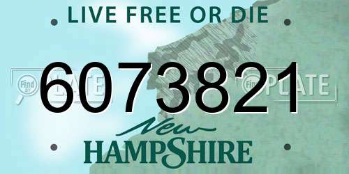 6073821 New Hampshire License Plate