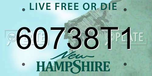 60738T1 New Hampshire License Plate