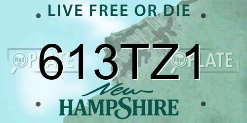 613TZ1 New Hampshire License Plate