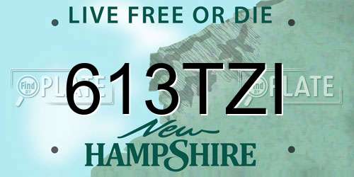 613TZI New Hampshire License Plate
