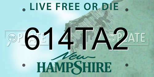 614TA2 New Hampshire License Plate