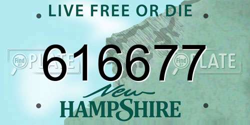 616677 New Hampshire License Plate