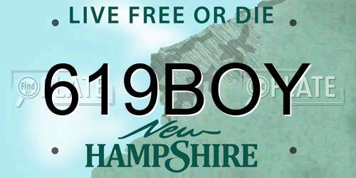 619BOY New Hampshire License Plate