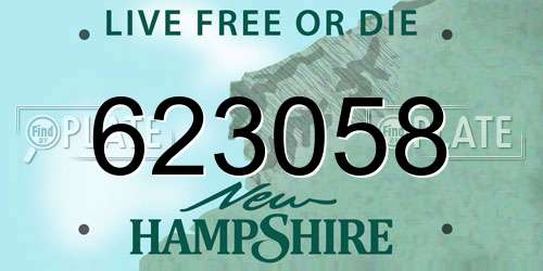 623058 New Hampshire License Plate