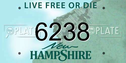 6238 New Hampshire License Plate