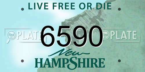 6590 New Hampshire License Plate