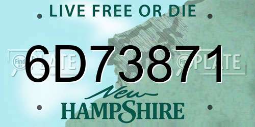 6D73871 New Hampshire License Plate