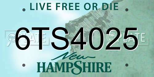 6TS4025 New Hampshire License Plate