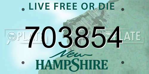 703854 New Hampshire License Plate