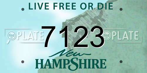 7123 New Hampshire License Plate