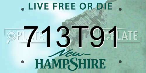 713T91 New Hampshire License Plate