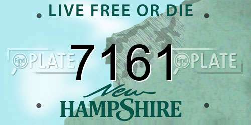 7161 New Hampshire License Plate