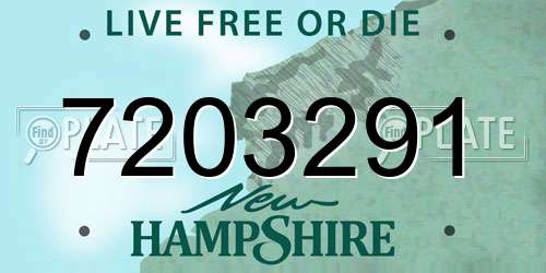 7203291 New Hampshire License Plate