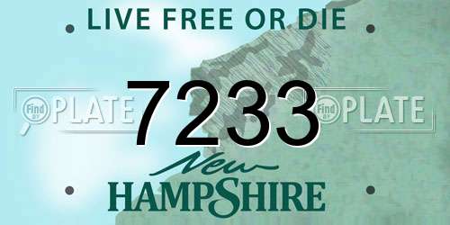 7233 New Hampshire License Plate