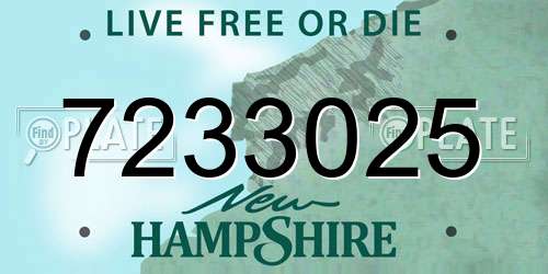 7233025 New Hampshire License Plate