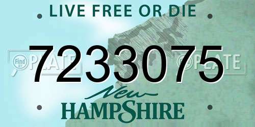 7233075 New Hampshire License Plate