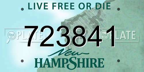 723841 New Hampshire License Plate