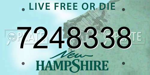 7248338 New Hampshire License Plate