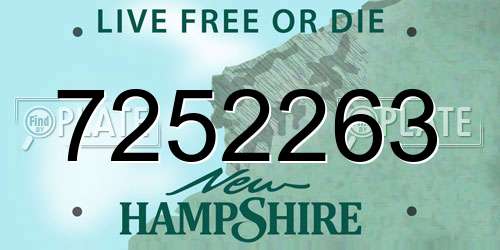 7252263 New Hampshire License Plate