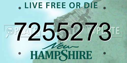 7255273 New Hampshire License Plate