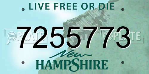 7255773 New Hampshire License Plate