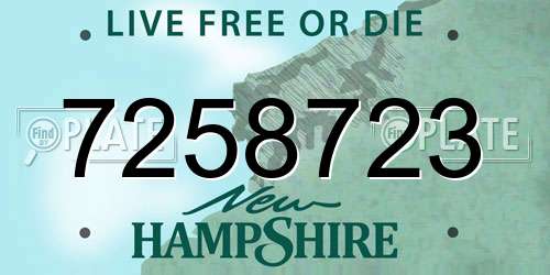 7258723 New Hampshire License Plate