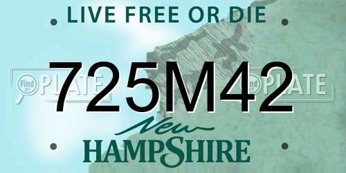 725M42 New Hampshire License Plate