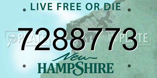7288773 New Hampshire License Plate