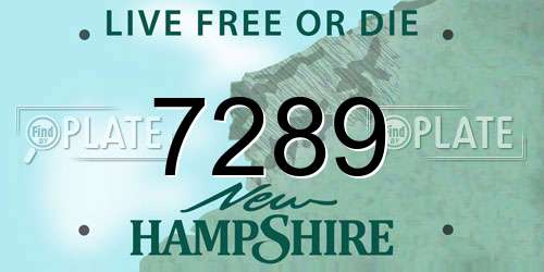 7289 New Hampshire License Plate