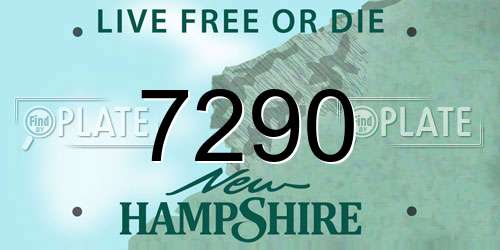 7290 New Hampshire License Plate