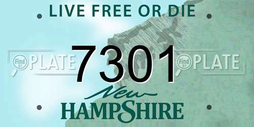 7301 New Hampshire License Plate