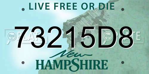 73215D8 New Hampshire License Plate