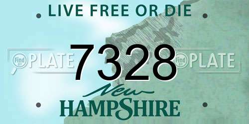 7328 New Hampshire License Plate