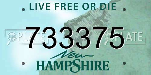 733375 New Hampshire License Plate
