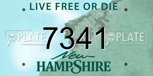 7341 New Hampshire License Plate
