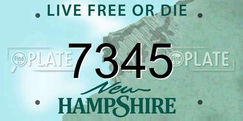 7345 New Hampshire License Plate