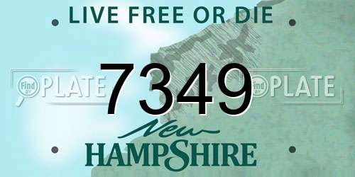 7349 New Hampshire License Plate