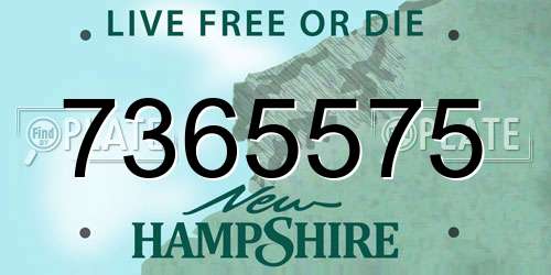 7365575 New Hampshire License Plate