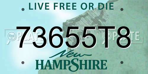 73655T8 New Hampshire License Plate